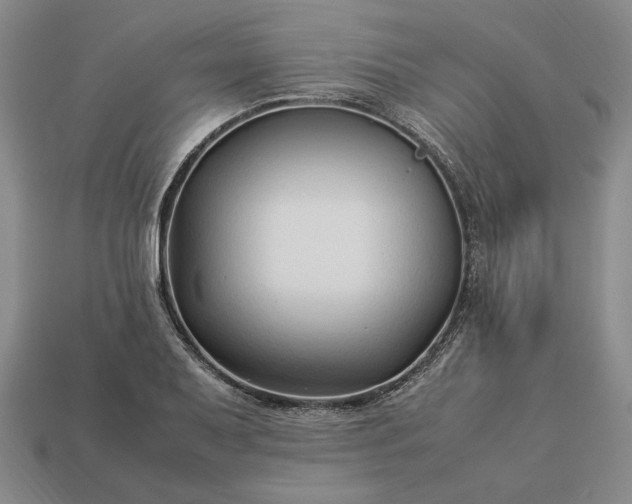 X0000113371079200909291046