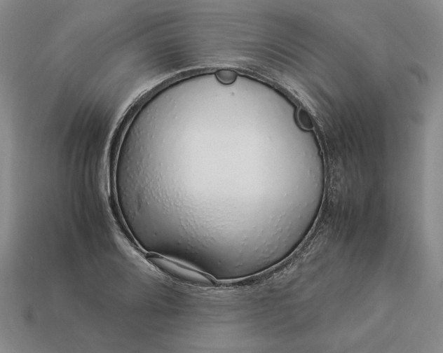 X0000113371080200909291046