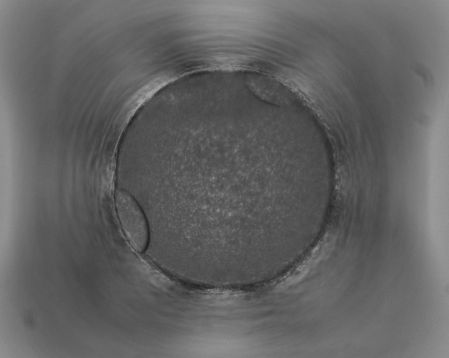 X0000113371081200909291046