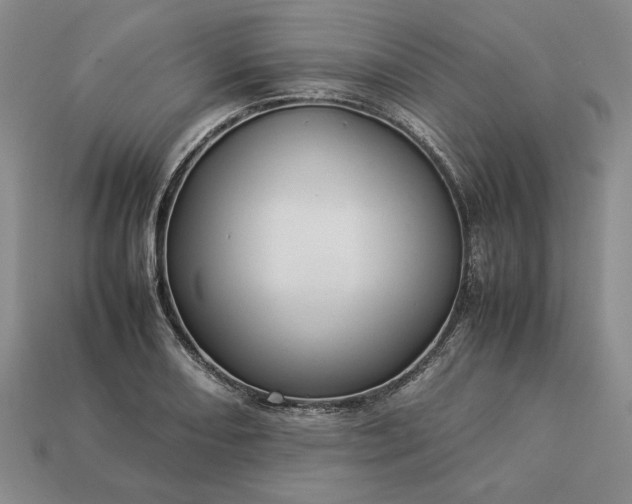 X0000113371082200909291046