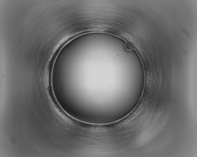 X0000113371083200909291046