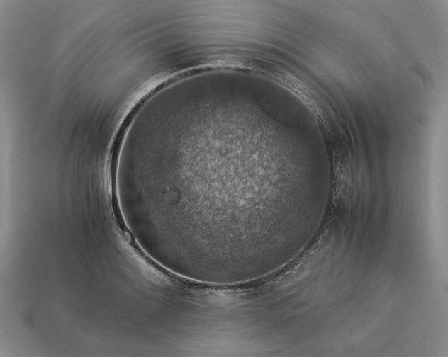 X0000113371084200909291046