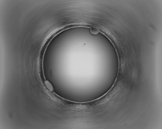 X0000113371085200909291046