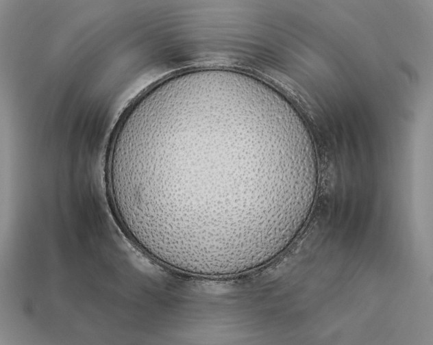 X0000113371086200909291046