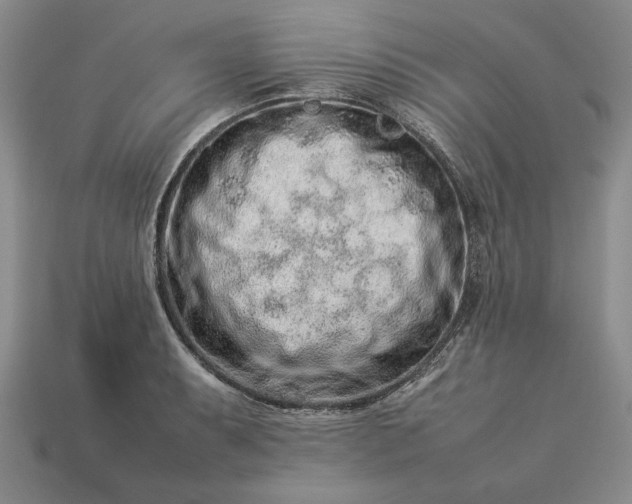 X0000113371087200909291046