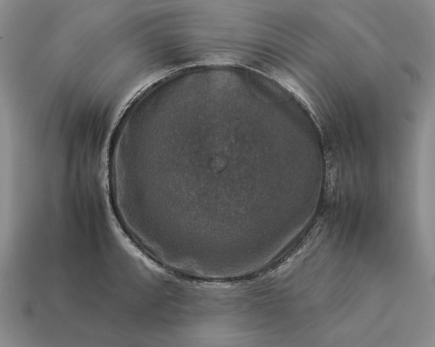 X0000113371088200909291046