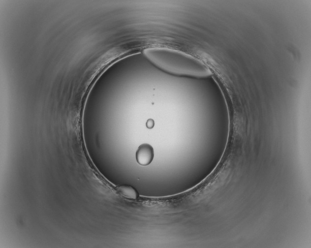 X0000113371089200909291046