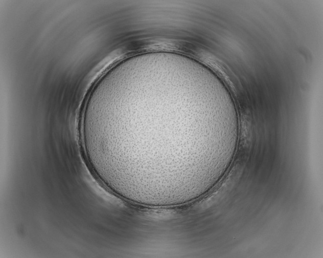 X0000113371090200909291046