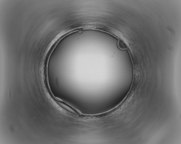 X0000113371091200909291046