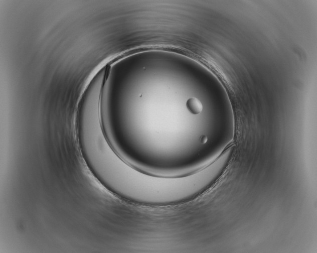 X0000113371092200909291046