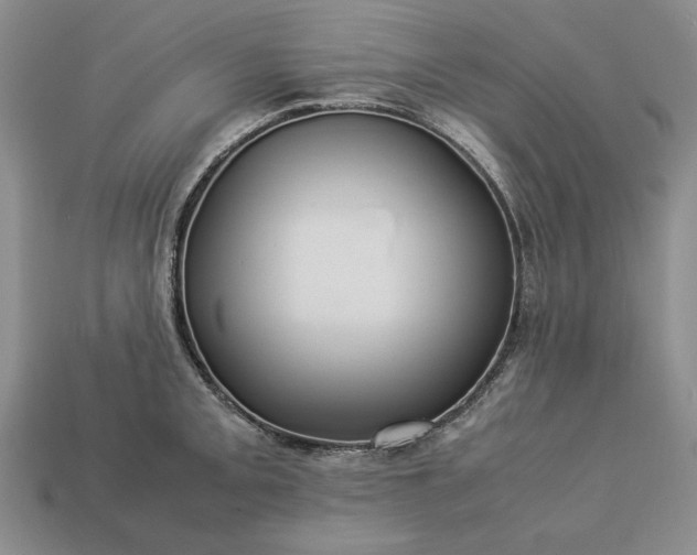 X0000113371093200909291046