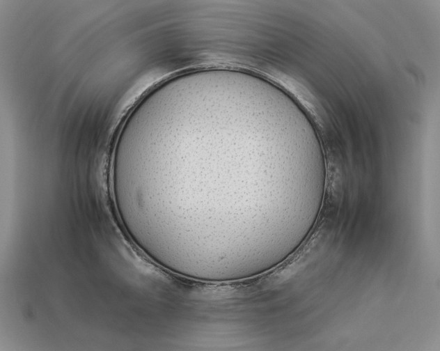 X0000113371094200909291046