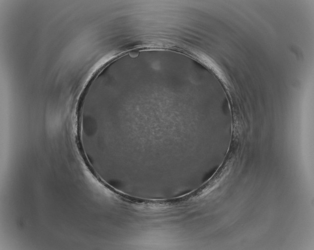 X0000113371095200909291046