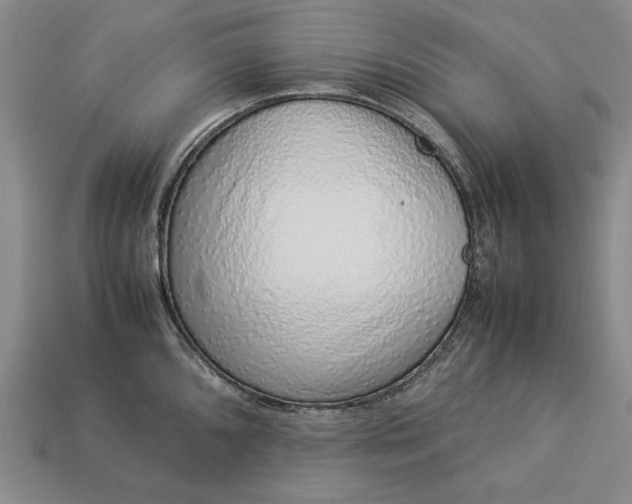 X0000113371096200909291046