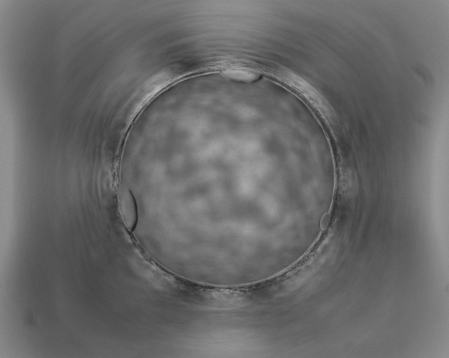 X0000113371097200909291046