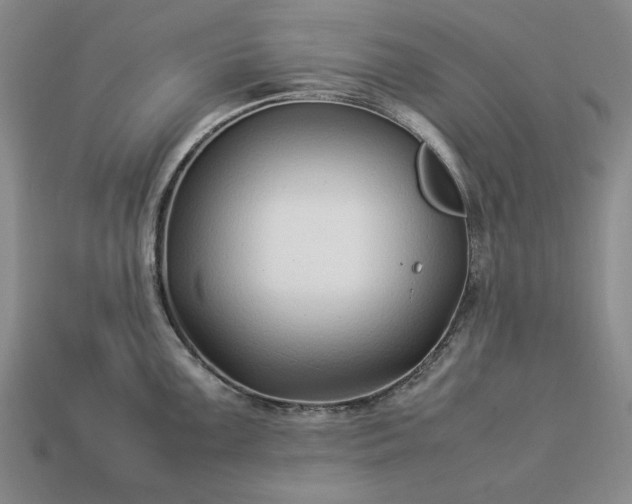 X0000113371099200909291046