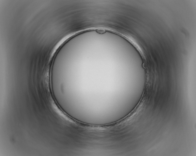 X0000113371100200909291046