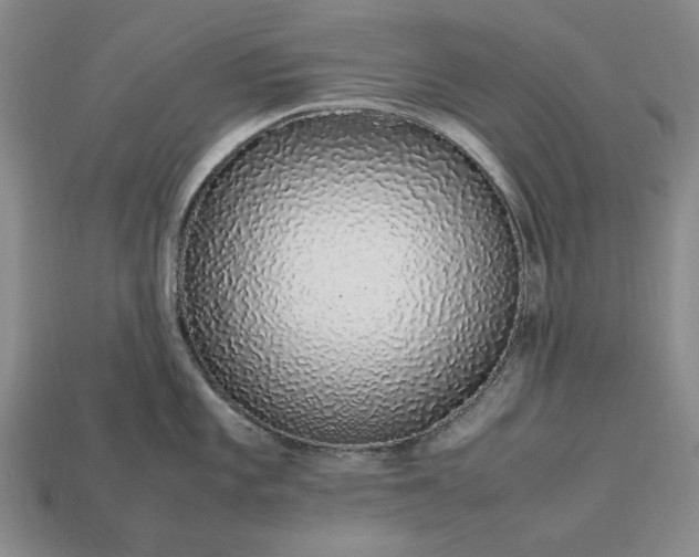 X0000113371101200909291046