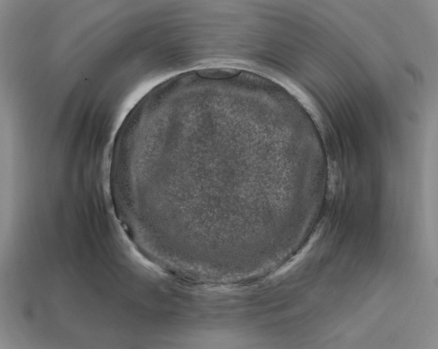 X0000113371102200909291046