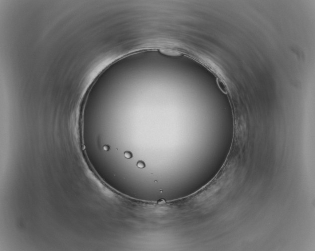 X0000113371103200909291046