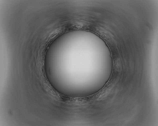 X0000113371105200909291045