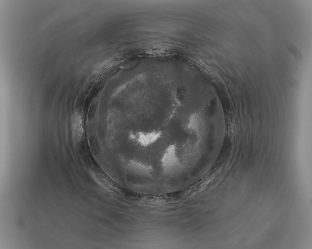 X0000113371106200909291045