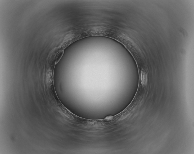 X0000113371107200909291045