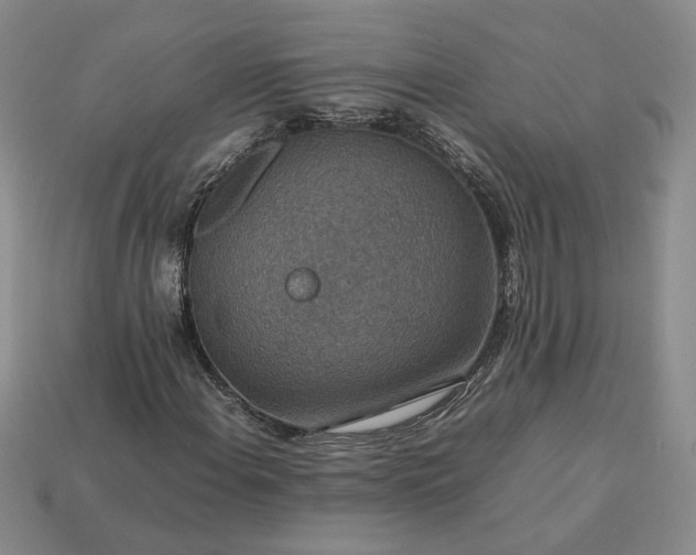 X0000113371108200909291045