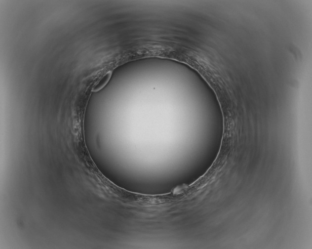 X0000113371109200909291045