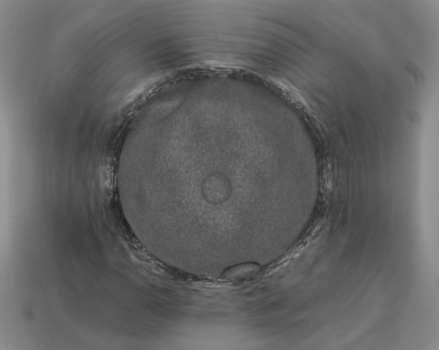 X0000113371110200909291045