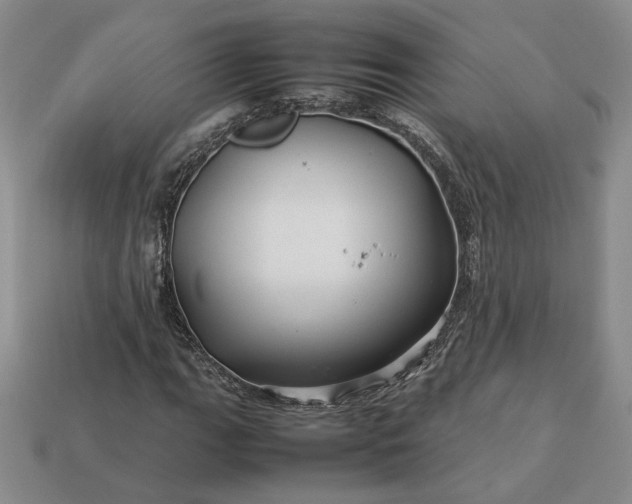 X0000113371111200909291045