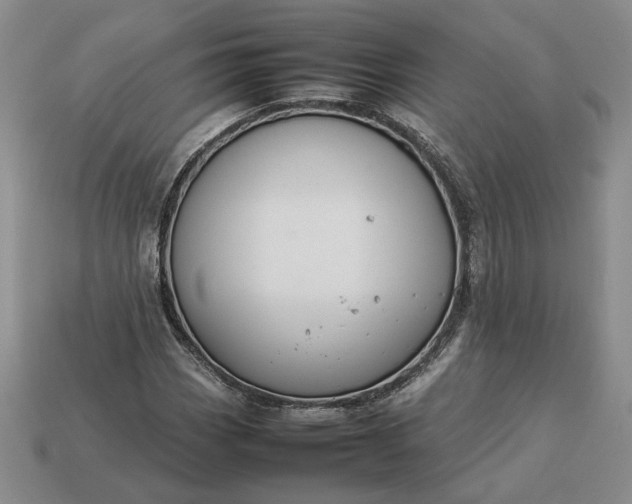 X0000113371113200909291045