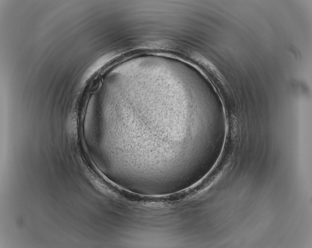 X0000113371114200909291045