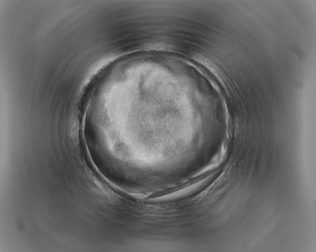 X0000113371115200909291045