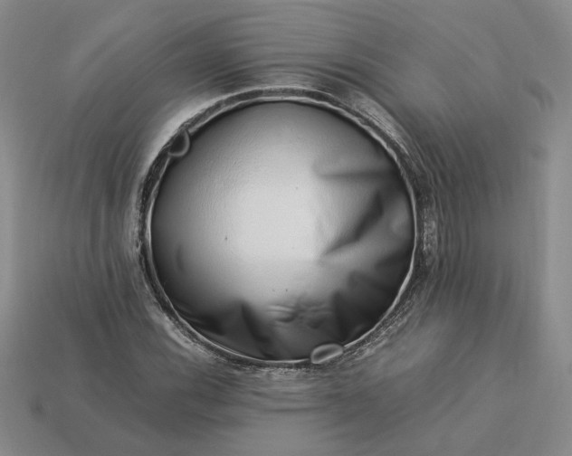 X0000113371116200909291045