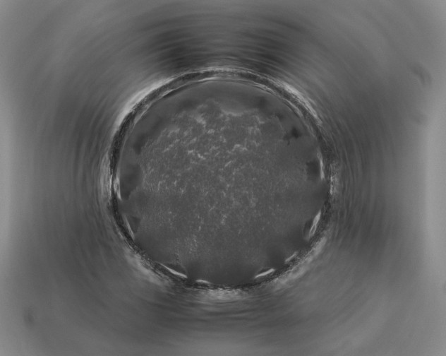 X0000113371117200909291045