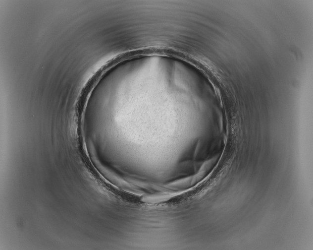 X0000113371118200909291045