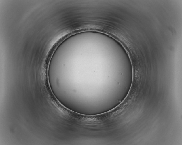 X0000113371119200909291045