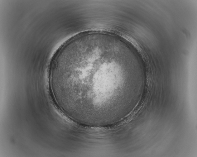 X0000113371120200909291045