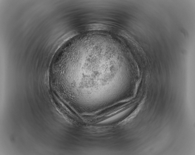 X0000113371121200909291045