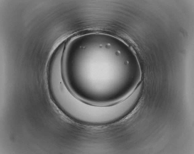 X0000113371122200909291045