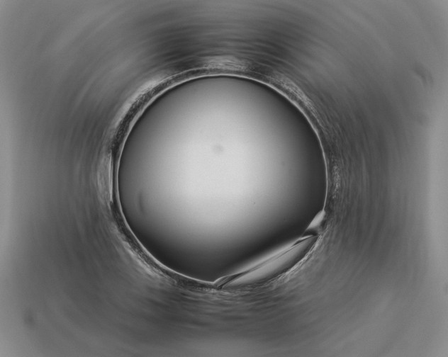 X0000113371123200909291045