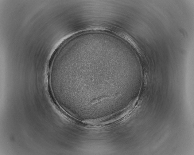 X0000113371124200909291045