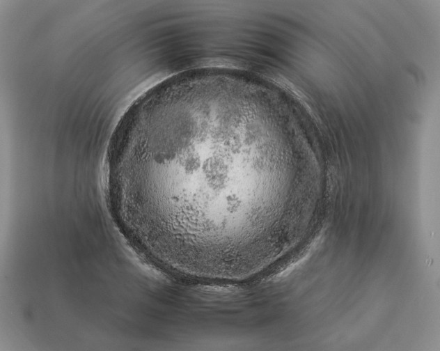 X0000113371125200909291045