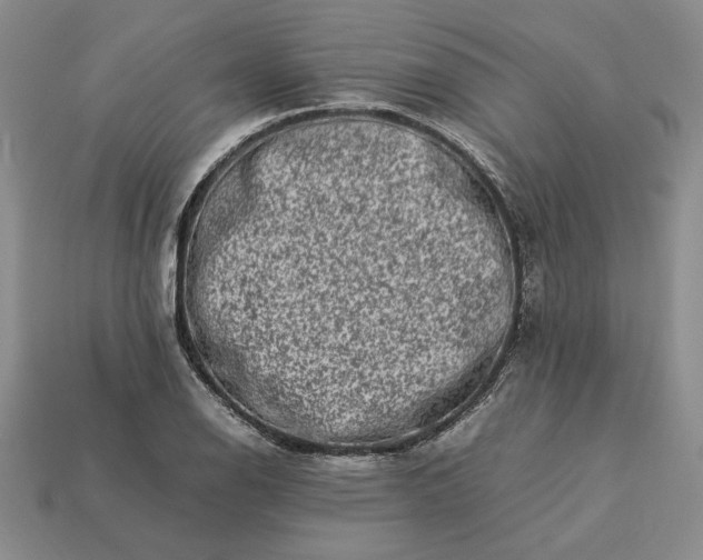 X0000113371126200909291045