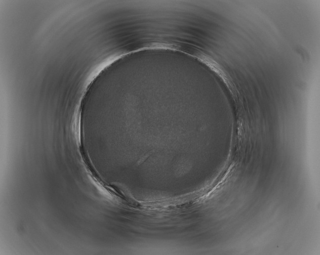 X0000113371127200909291045