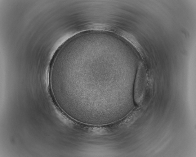 X0000113371128200909291045