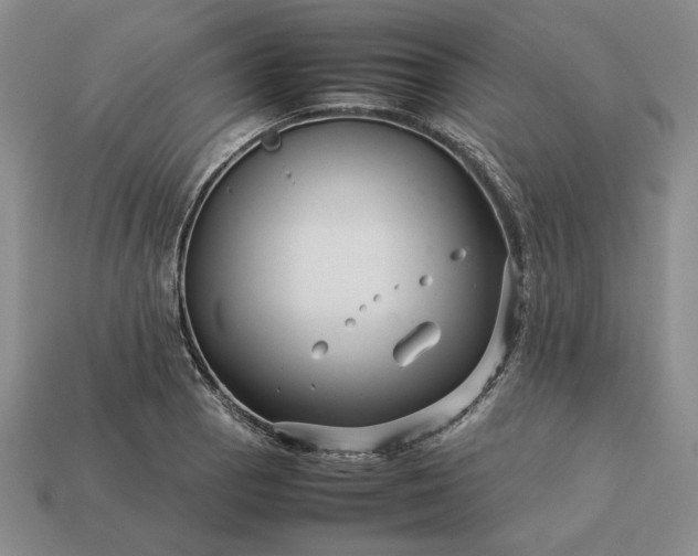 X0000113371129200909291045