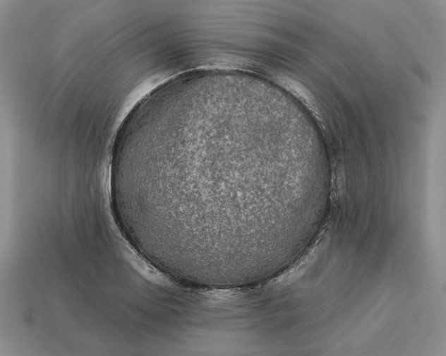 X0000113371130200909291045