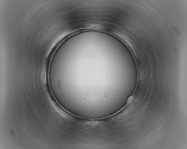 X0000113371131200909291045